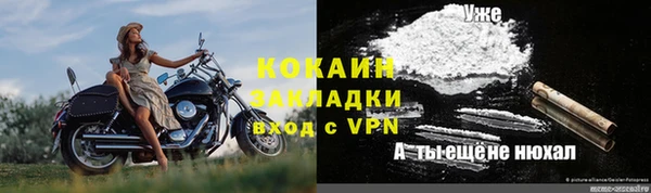 амф Бородино