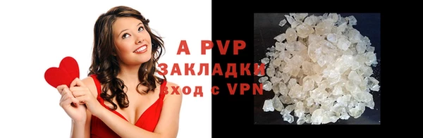ГАЛЛЮЦИНОГЕННЫЕ ГРИБЫ Богданович