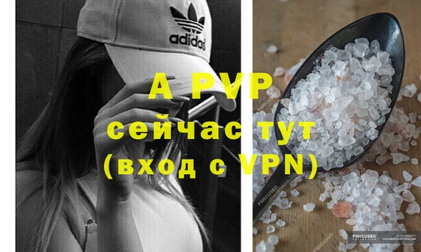 амф Бородино