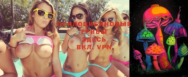 2c-b Гусь-Хрустальный