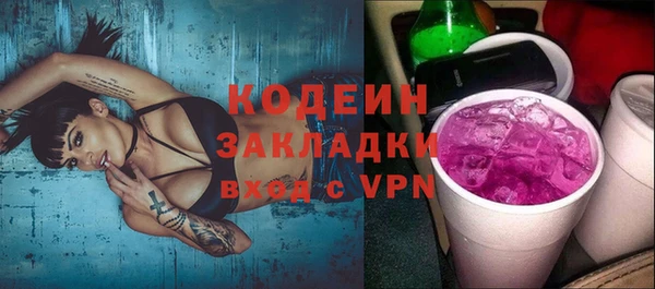 амф Бородино