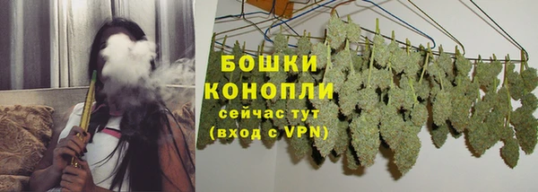 спиды Гусев