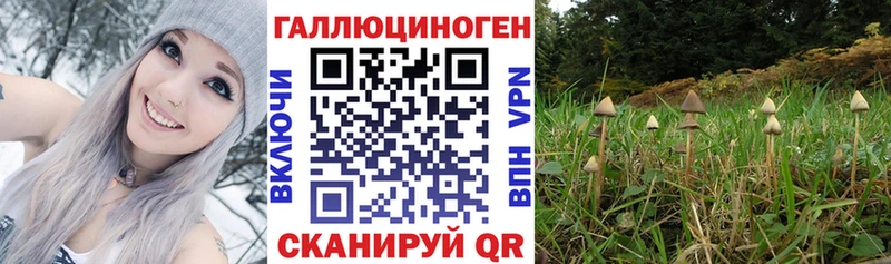 Псилоцибиновые грибы мицелий  Калтан 