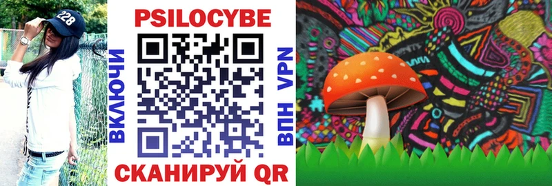 Псилоцибиновые грибы мицелий Калтан